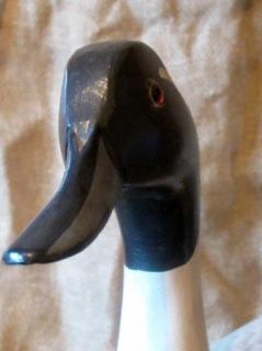  Pintail Sgn & Dated 1976 & Org. (Cory Ward and Chas.Moore) Duck Decoy