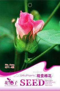 Cotton Flower Seeds ★ 50 Flower Seeds Ornamental Charming Garden