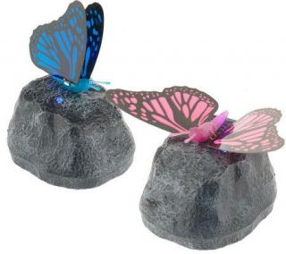 Can You Imagine Set of 2 Butterfly Night Lights —