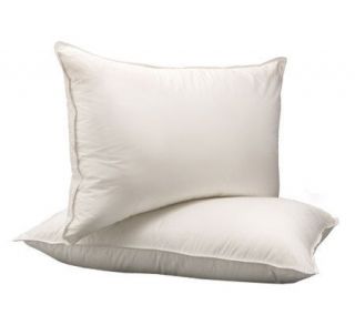 Northern Nights Set of 2 KG EvenDream Luxury Pyrenees Down Pillows