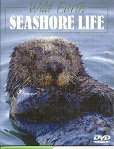 Wild Earth Series Seashore Life Otters Seals Birds Sea Lions Nature