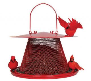 No/No Cardinal 2.5 lb Bird Feeder in Red —