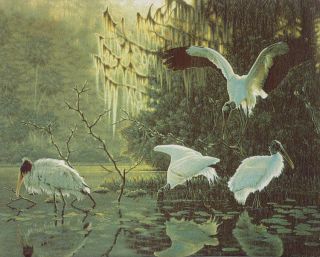 20 Woven Stretched Tapestry Black Moor The Crane Lake