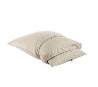 Sleep Number Pillowology True Silver King Pillow —
