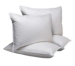 Northern Nights Basic Eurofeather Set of 4 Standard Pillows — 