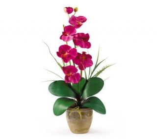 Phalaenopsis Orchid Flower Arrangement byNearlyNatural —