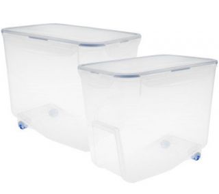Lock & Lock Set of 2 Clear Bulk Storage Containers —