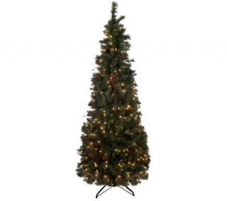 Balsam Hill Woodland Pine 6.5 Instant Evergreen Tree —
