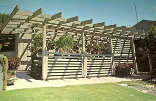 Best Mid Century Modern Eames Era Home Landscaping and Outdoor