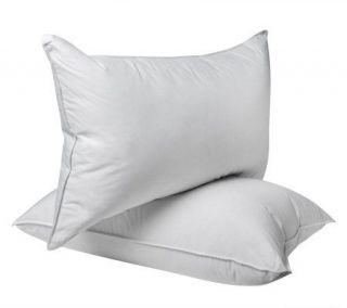 Northern Nights Standard Set of 2 600 FP Natural Down Pillows