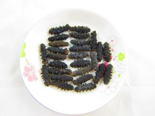 Dry Sea Cucumber Hai Shen 4G Pcs 25pcs Total 100g