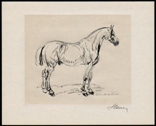 DENMARK 1977 Horse Engraving by Czeslaw Slania
