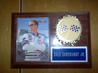 Dale Earnhardt Jr Wooden Wall Plaque Trading Card