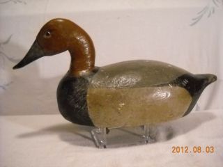 Old Wi Canvasback Duck Decoy All Orig Good Condition No Res