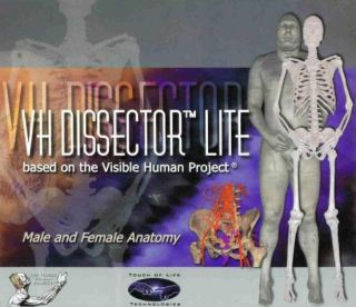  Lite 4 PC CD Learn Male Female Body Organs Muscles Anatomy Tool