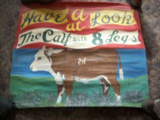 THE CALF WITH 8 LEGS FREAK SHOW FAIR Sideshow Banner 31x35 1960S