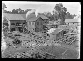 photo 1900s darien georgia altamaha lumber company