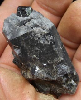  Brookite Crystals on DT Smoky Quartz Crystal Mose Hill Arkansas