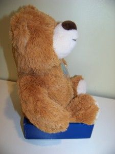 Dan Dee Dandee Lovable Huggable Earthrite Plush Stuffed Animal Bear