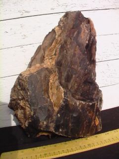Petrified Wood Landscape Rock Decorative 540 25 Lbs