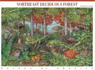 Nature of America Northeast Deciduous Forest Stamp 3899