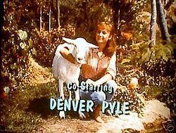  Complete TV Series on DVD 1965 RARE Debbie Watson Denver Pyle