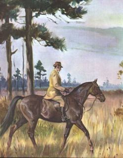  Tennessee Walking Horse Print 1951 w Dennis