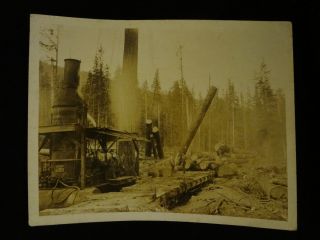   Original Darius Kinsey Danaher Lumber Co Darrington WA Logging Train