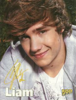 x10 MINI PIN UP One Directions Liam Payne b/w Everything About