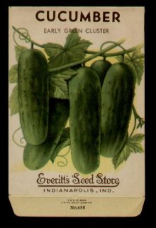 1940s CUCUMBER CLUSTER LITHO SEED PACKET  EVERITTS SEED