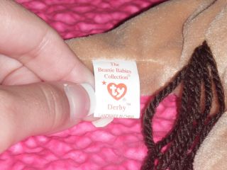 Derby Ty Beanie Babies w Variations RARE Retired★☆
