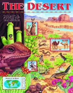Desert Chart Poster Teacher Animal Habitats Biomes New