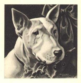 Bull Terrier Print   Morgan Dennis   