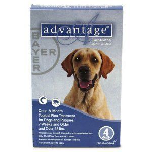 Advantage for Dogs Over 55lbs 4 Dose Pack
