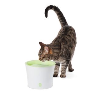 Cat It Catit Small Dog Cat Small Drinking Fountain Water Bowl Green