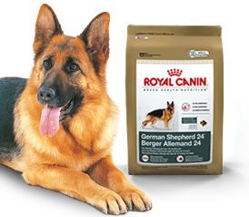 Royal Canin Maxi Canine German Shepherd 24 Dry Dog Food