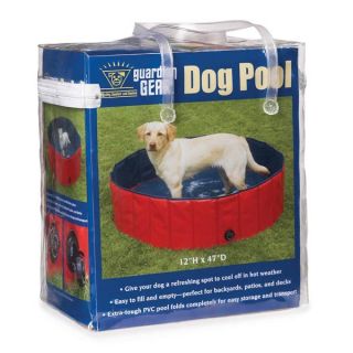 refreshing dog pool that pets can use to cool off in on hot days
