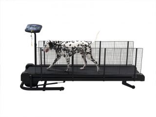 Fit Fur Life Dog Treadmill Superior Model Dog Fitness Exercise Running