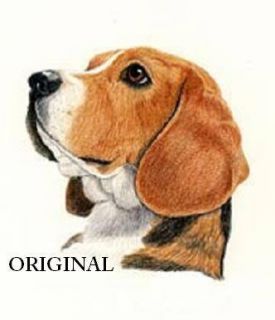 Beagle Portrait Cross Stitch Pattern Dogs TBB