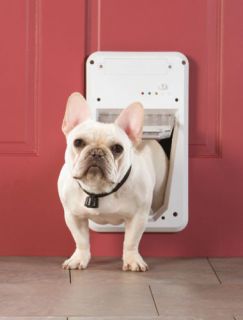PetSafe Small Smartdoor Electronic Pet Dog Door UP15LB