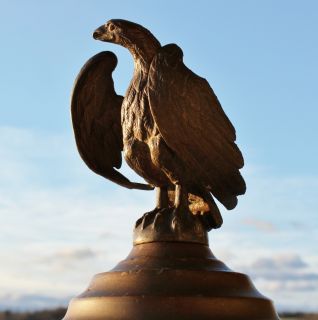 The bronze eagle figure is mounted on a gilt wood platform.