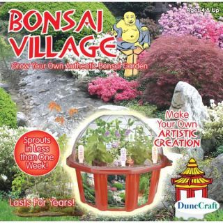 Dunecraft Bonsai Village Terrarium Plant Kit New in Box BV 0017