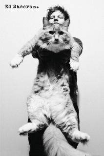 Ed Sheeran Cat New Black and White Music Poster