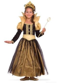 fun stuff renaissance princess costume set c size small medium please