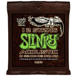 Ernie Ball Slinky 12 string Acoustic Guitar Strings 12 String 009 046