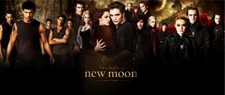 Taylor Lautner Robert Pattinson Signed x14 Twilight New Moon Movie