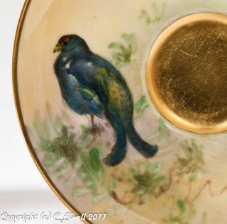 Royal Worcester Demi Tasse Cup Saucer Hand Painted with Game Birds