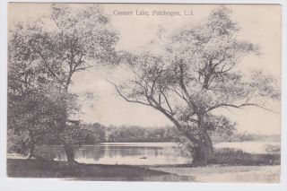 Patchogue Long Island NY Canaan Lake 1908 Postcard. Make multiple