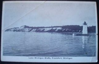 MI Postcards Real Photo Elberta Town View Frankfort Lake Michigan
