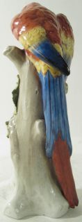 Antique Ernst Bohne Porcelain Parrot Bird Figurine Germany